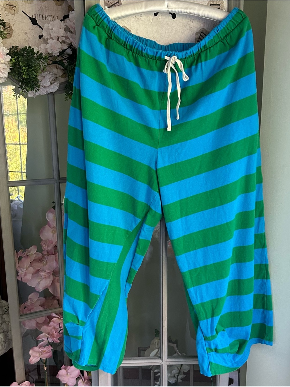 Free People free-est Quinn Striped Pants Harem Crop Green Blue Size L